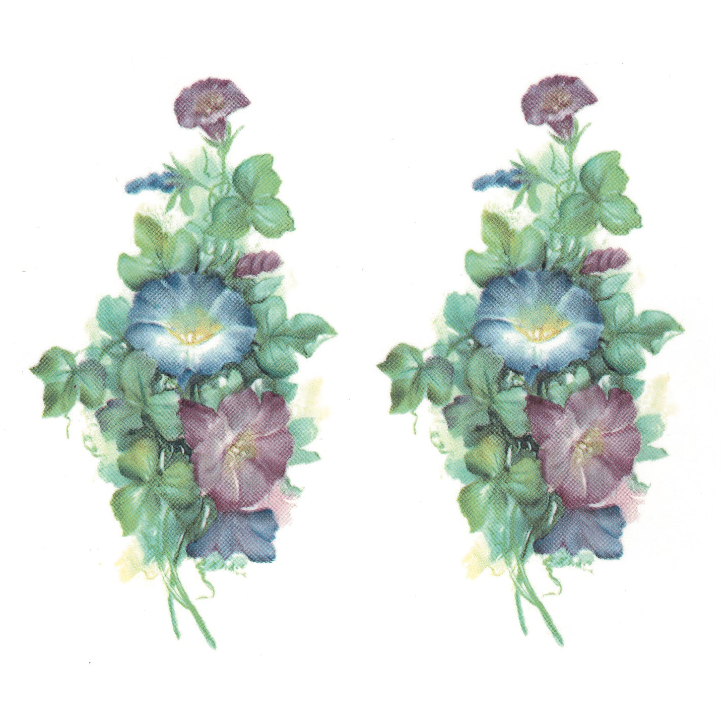 Flowers Morning Glory Overglaze Ceramic Decals