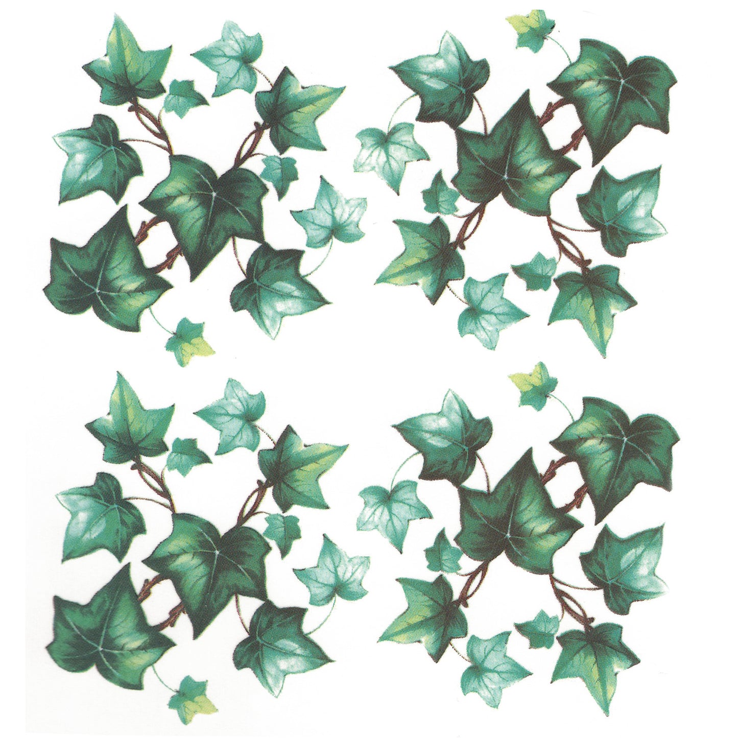 Ivy Trailing Eugenie Vine Overglaze Ceramic Decals