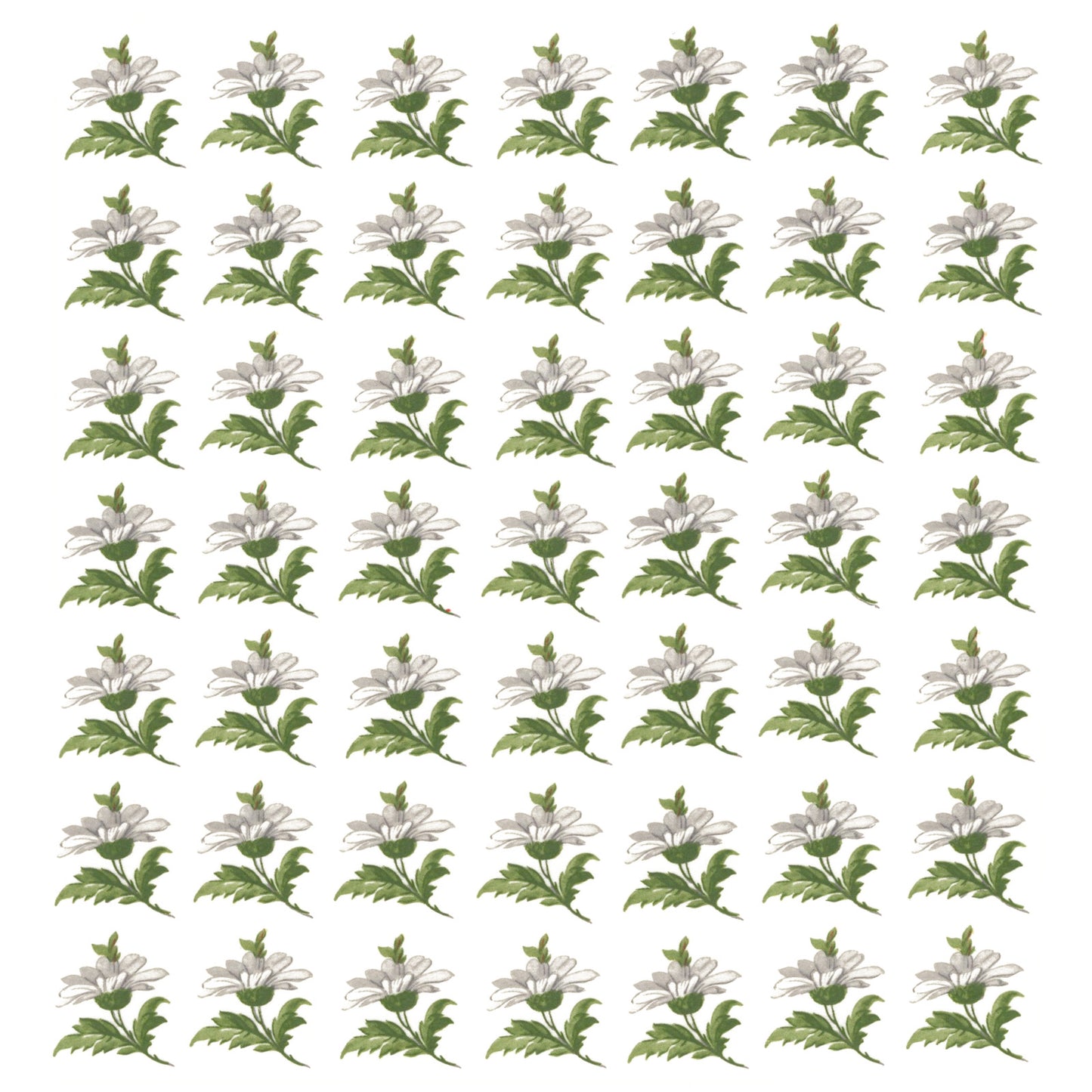 Flowers White Daisy Overglaze Ceramic Decals