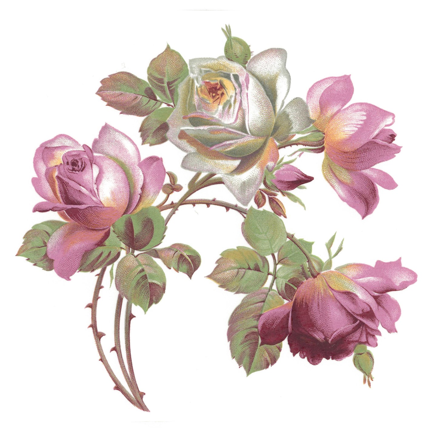 Flowers Roses Geraldine Pink White Overglaze Ceramic Decals