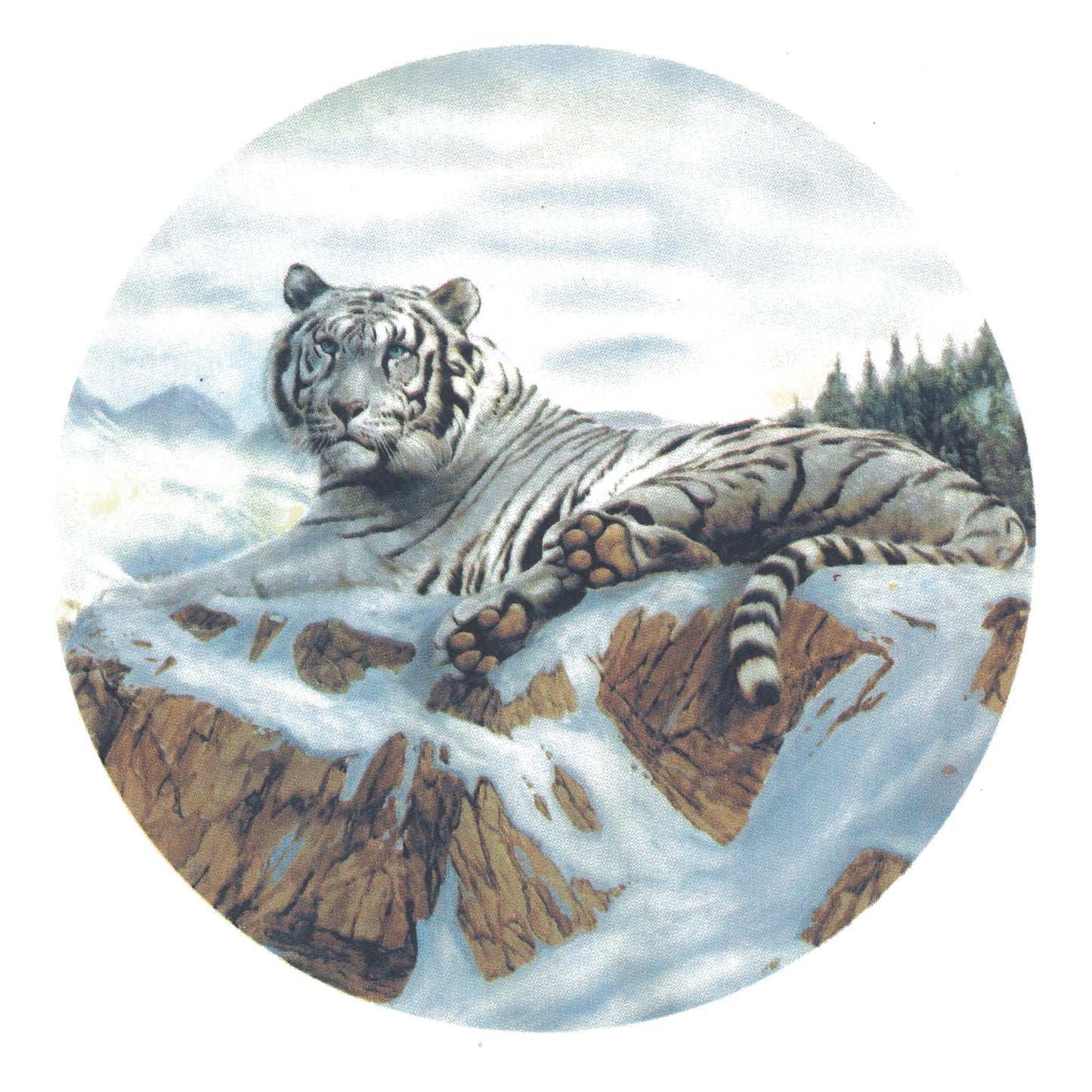 White Tiger Overglaze Ceramic Decals