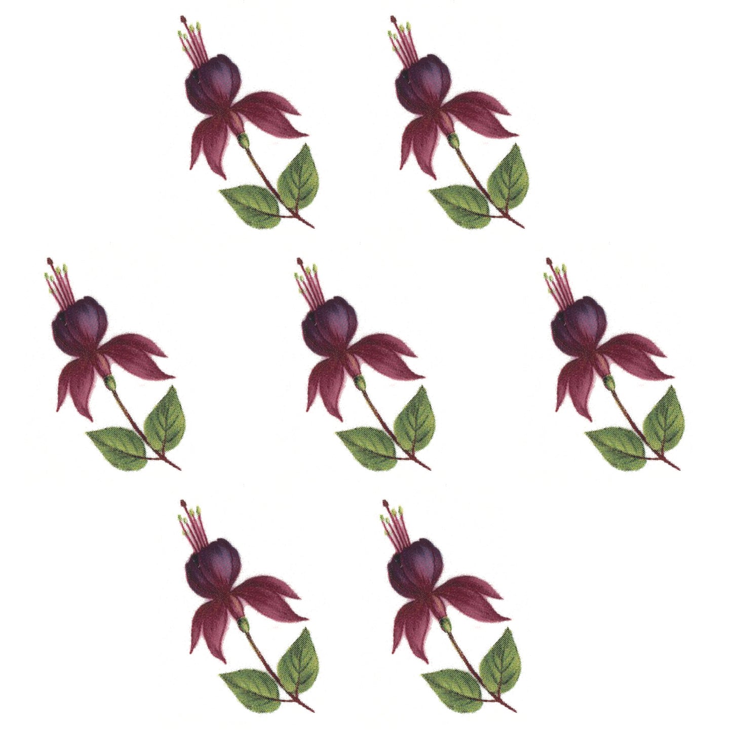 Fuchsia Mrs Popple Bits Overglaze Ceramic Decals