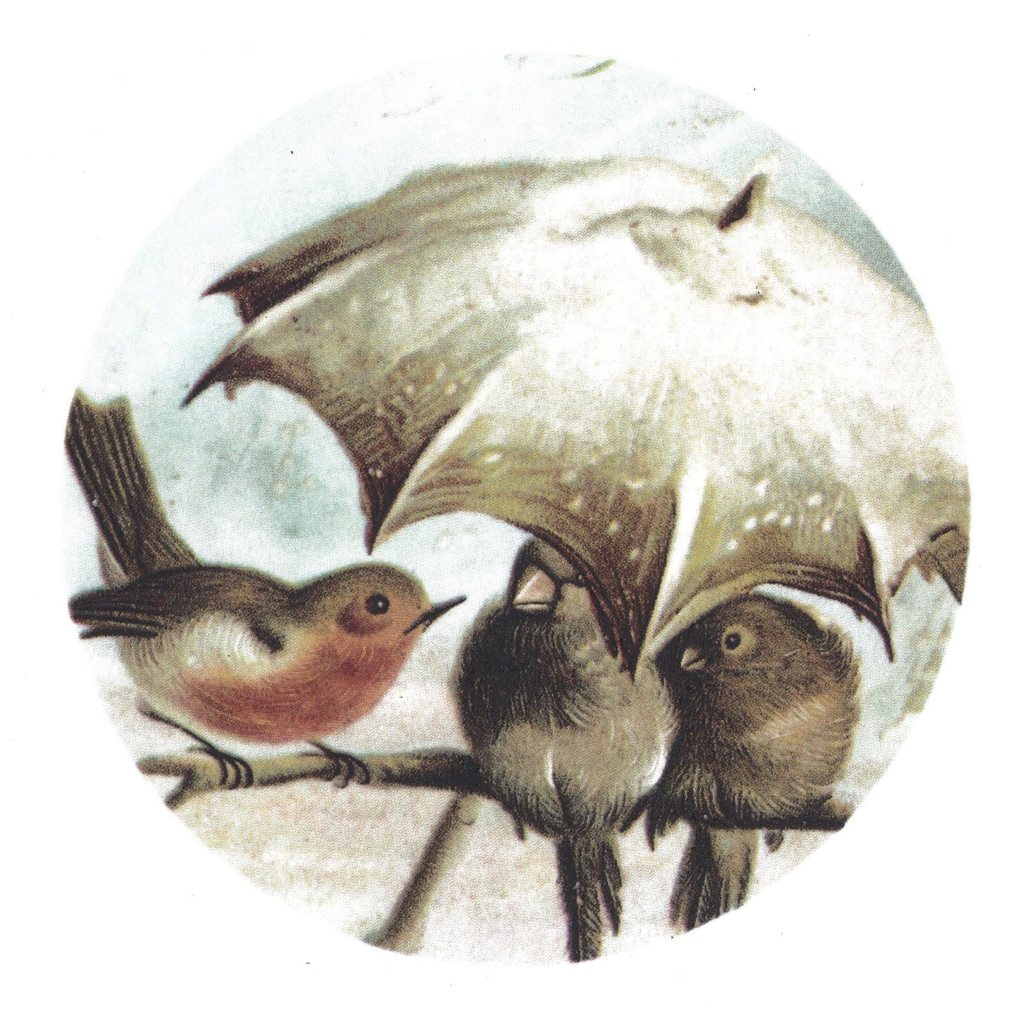 Rainy Day Bird Friends Umbrella Overglaze Ceramic Decals