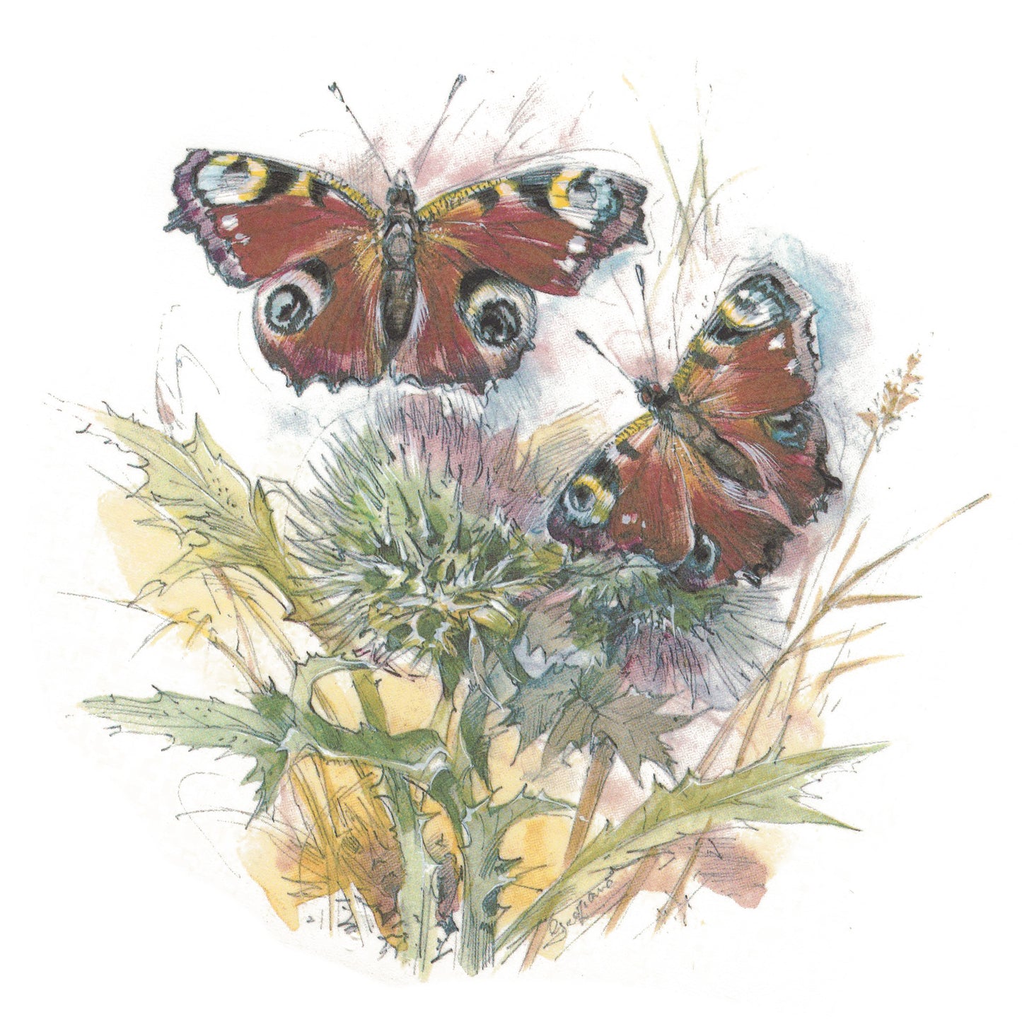 Butterfly Butterflies Overglaze Ceramic Decals