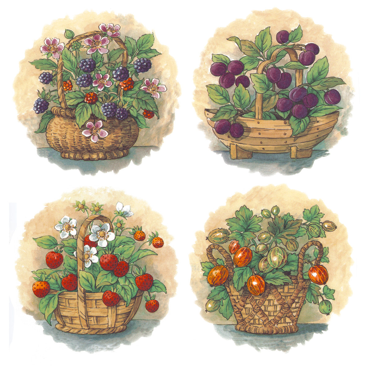Wild Fruit Baskets Overglaze Ceramic Decals