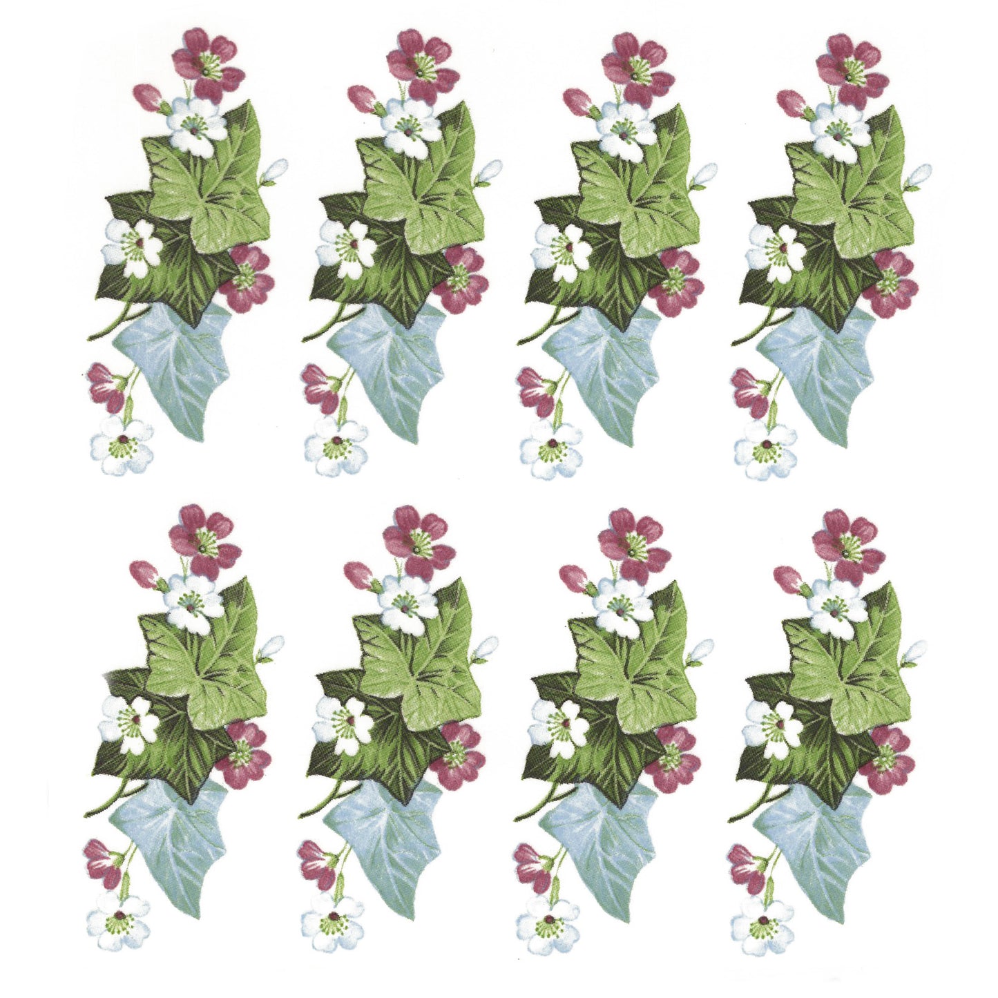 Ivy Overglaze Ceramic Decals