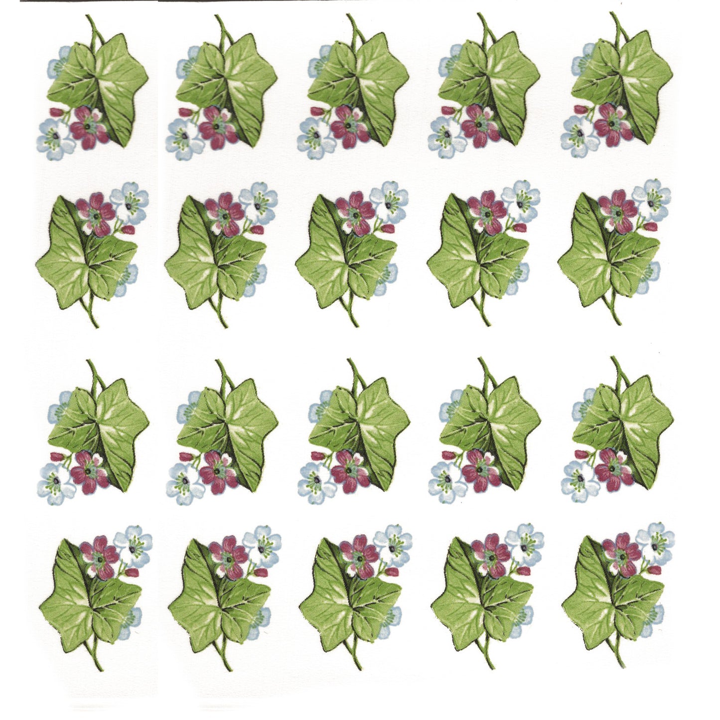 Ivy Overglaze Ceramic Decals