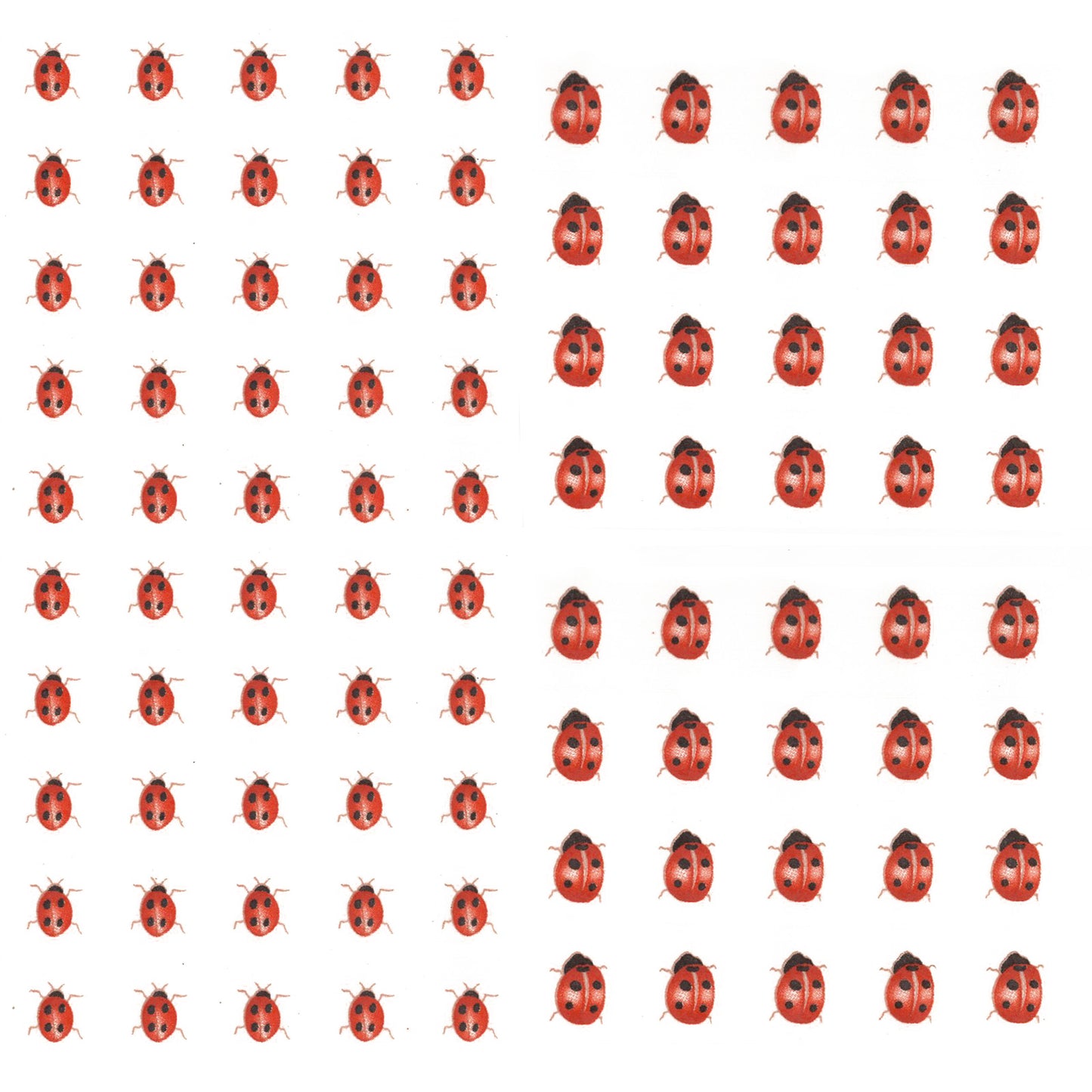 Ladybugs Ladybirds Overglaze Ceramic Decals