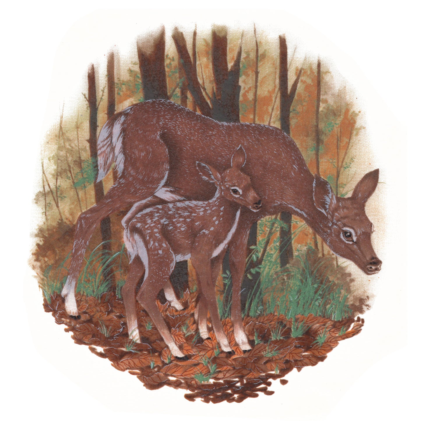 Deer Doe Fawn in the Forest 10 Inch A1 Overglaze Ceramic Decals