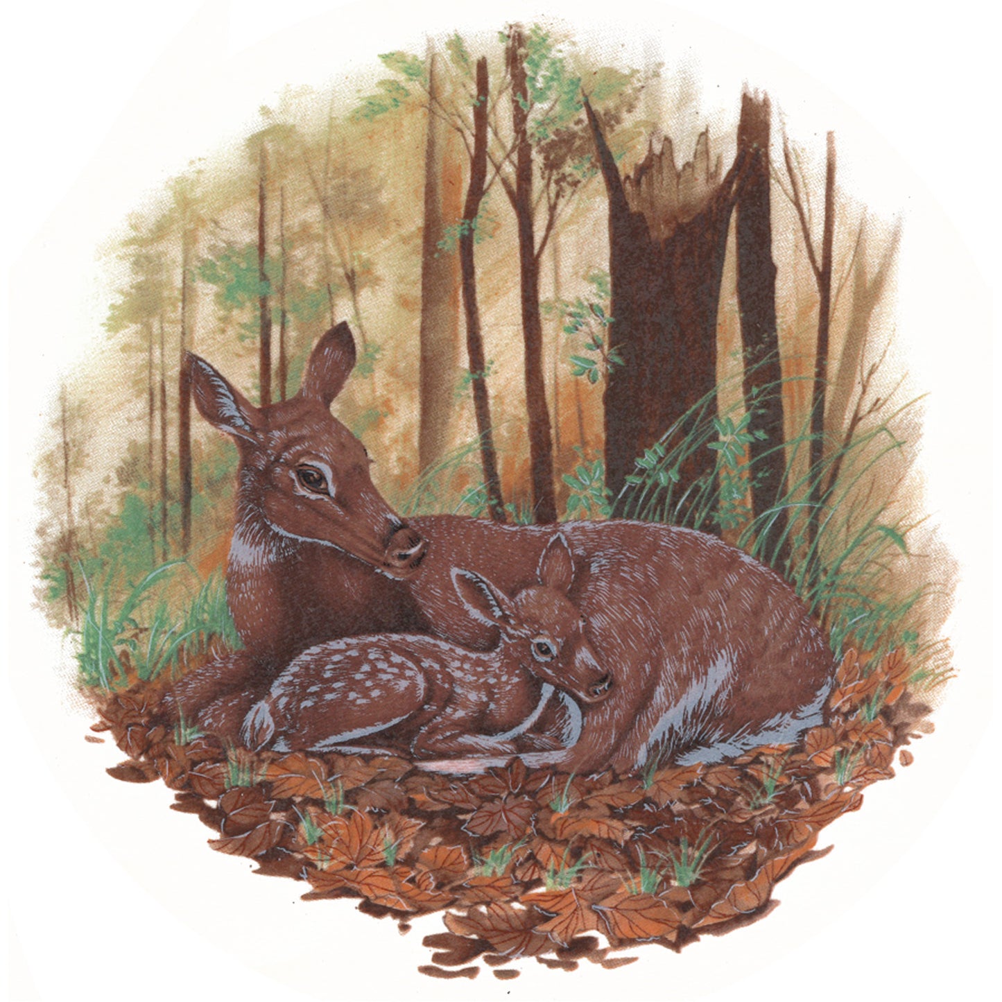 Deer Doe Fawn in the Forest 10 Inch Style A2 Overglaze Ceramic Decals
