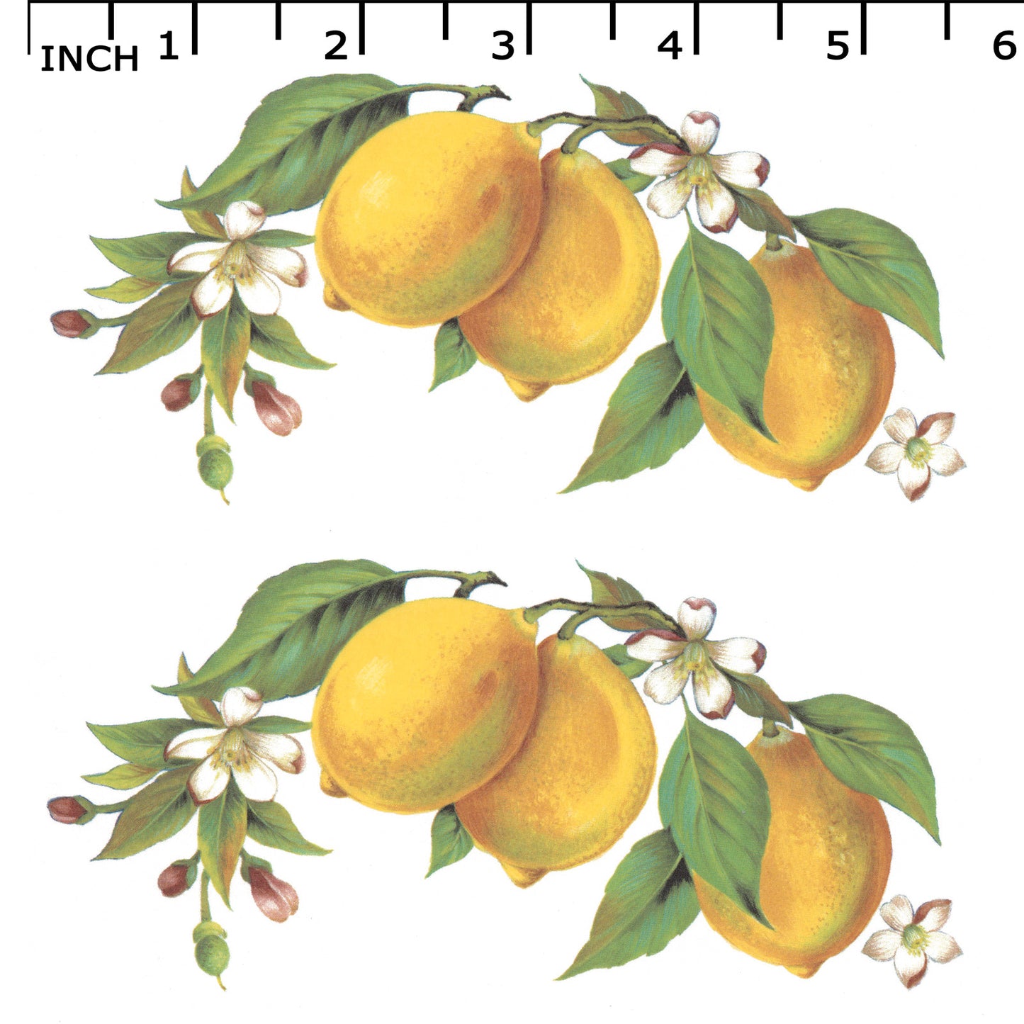 Lemons on the Branch Style D Overglaze Waterslide Ceramic Decal