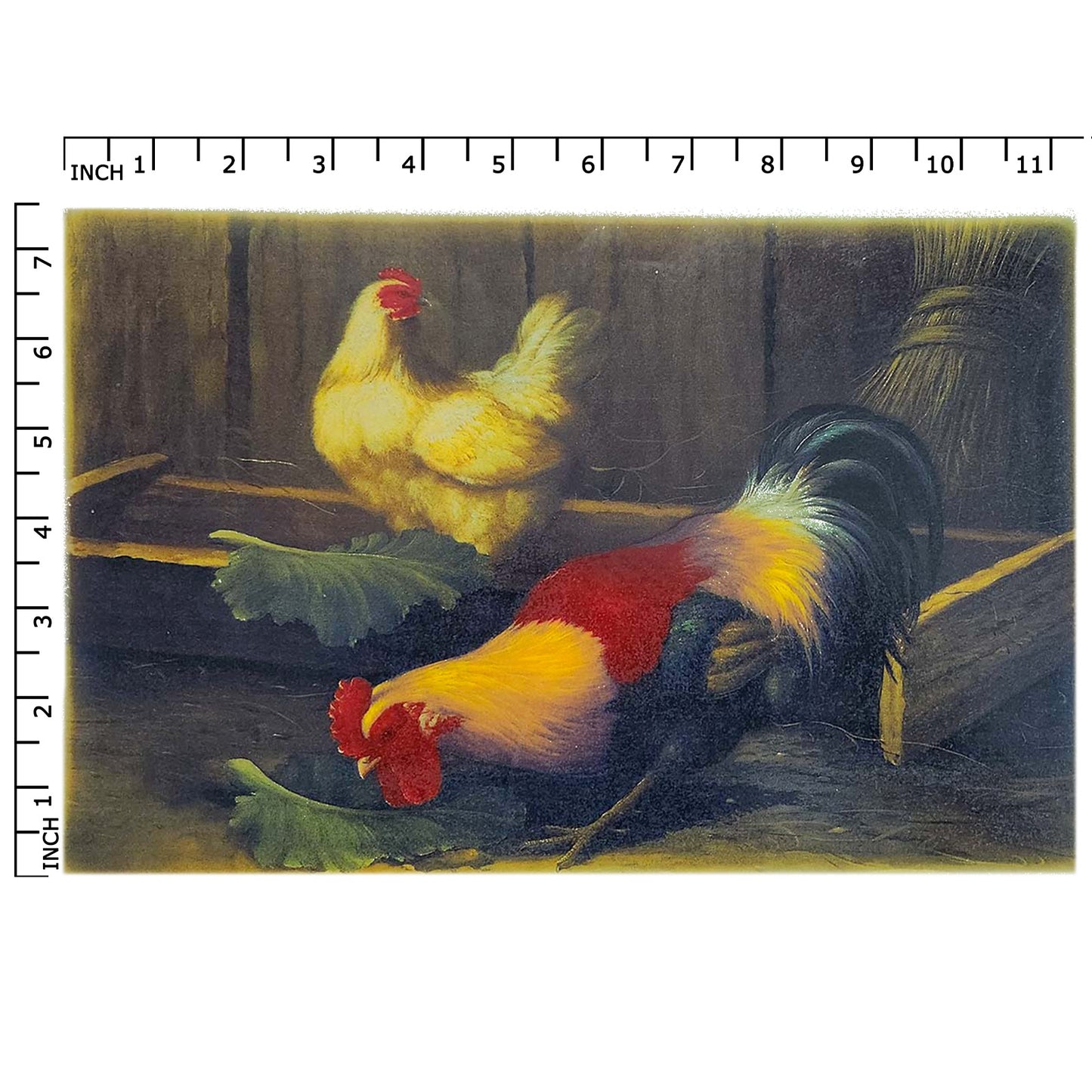 Rooster Chicken Coop Tray Overglaze Waterslide Ceramic Decal