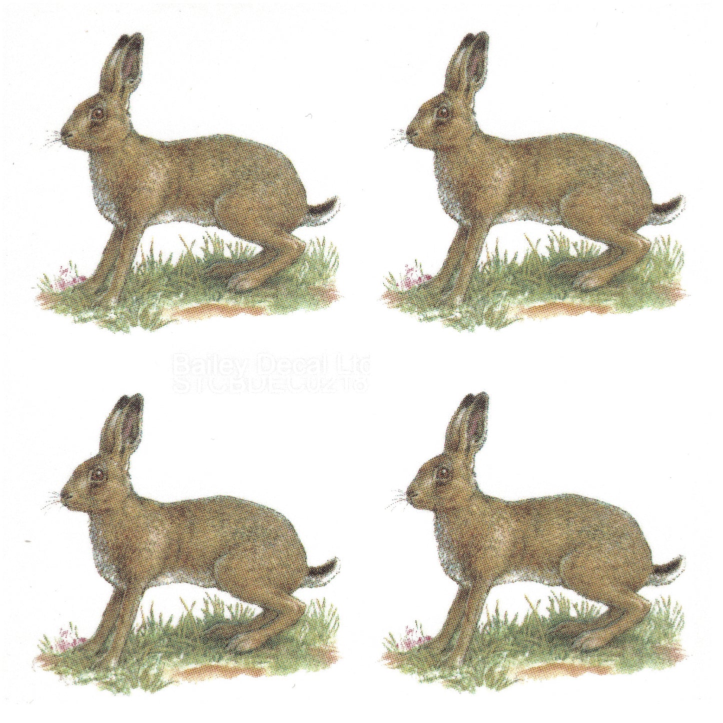 Brown Hare in the Field Overglaze Waterslide Ceramic Decals