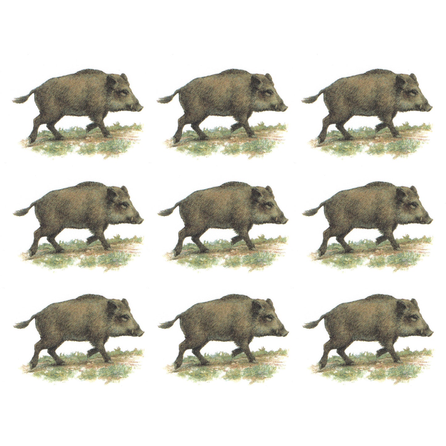 Wild Boar in the Field Overglaze Waterslide Ceramic Decals