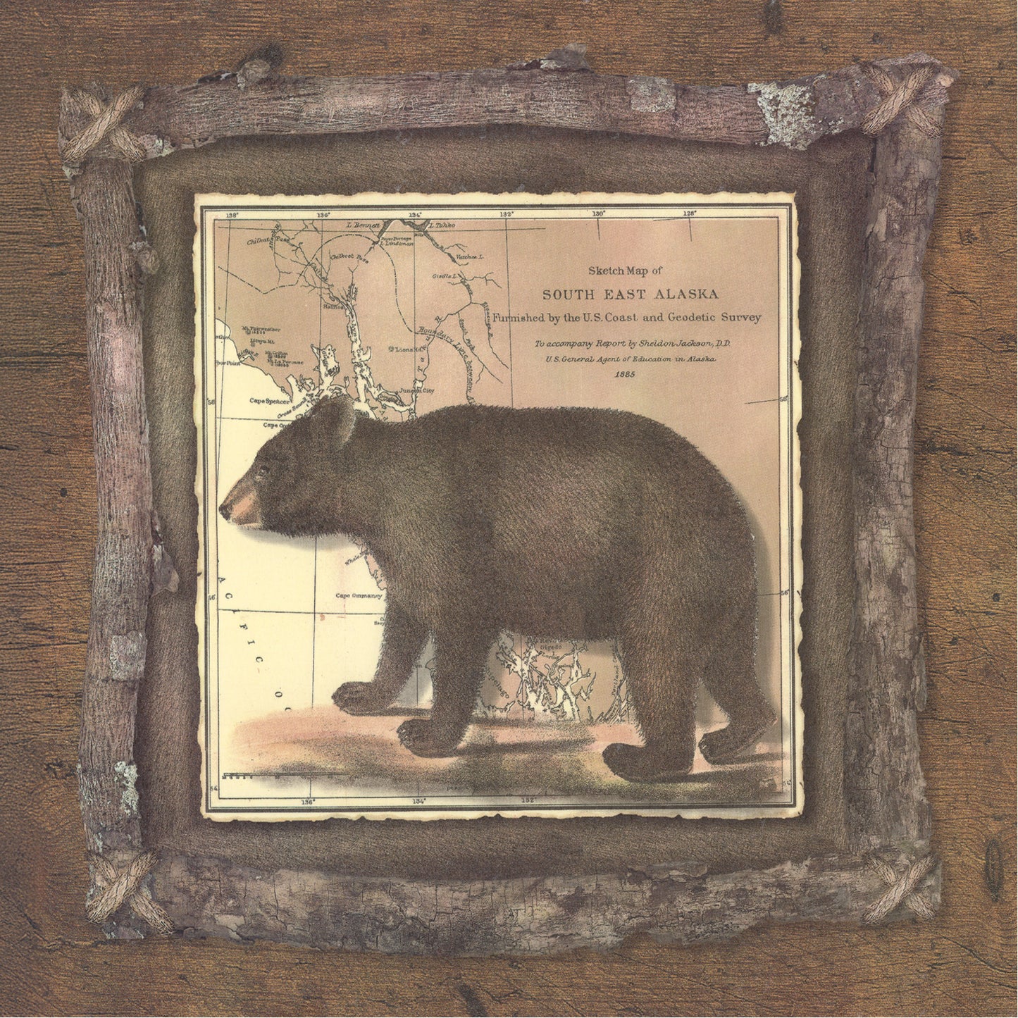 Brown Bear Alaska Map Animal Tile Overglaze Waterslide Ceramic Decals