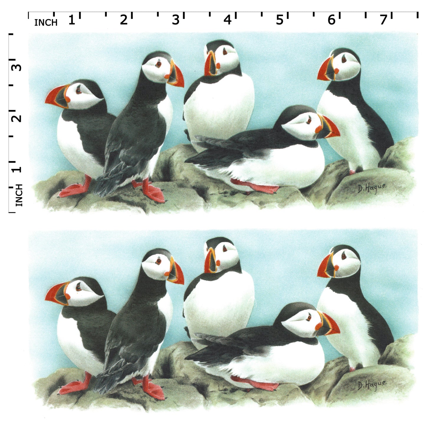 Puffin Seabirds Mug Wrap 7.5 Inch 2 pcs Overglaze Waterslide Ceramic Decals