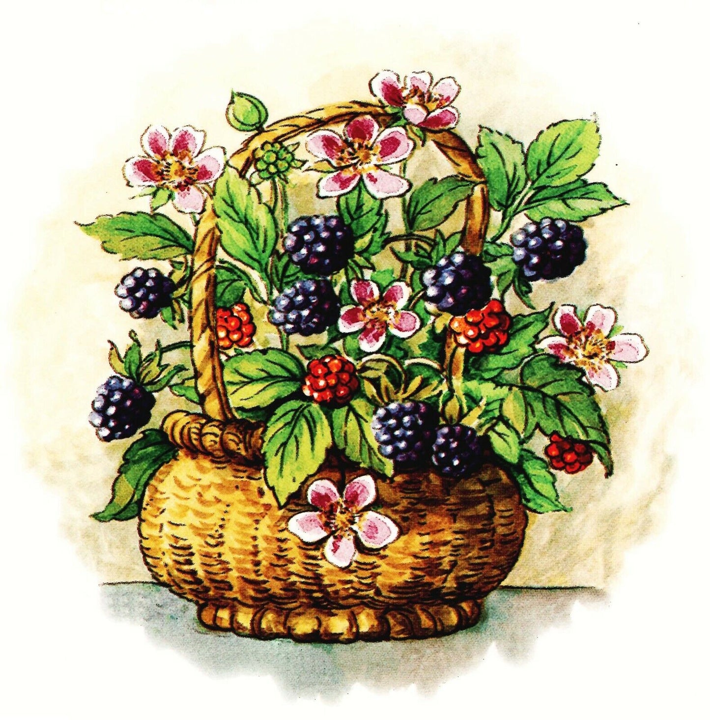 Raspberry Wicker Basket Fruit 2 pcs 4-3/4" Waterslide Ceramic Decals