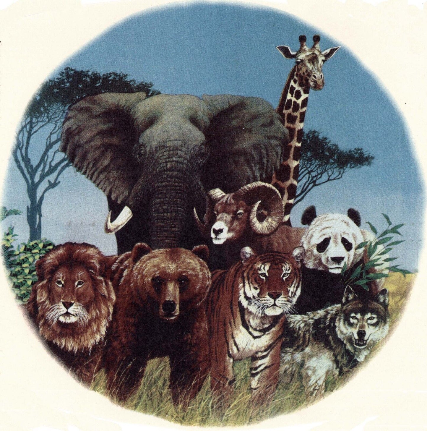 African Animal Collage 1 pc 7-3/4" Overglaze Waterslide Ceramic Decal