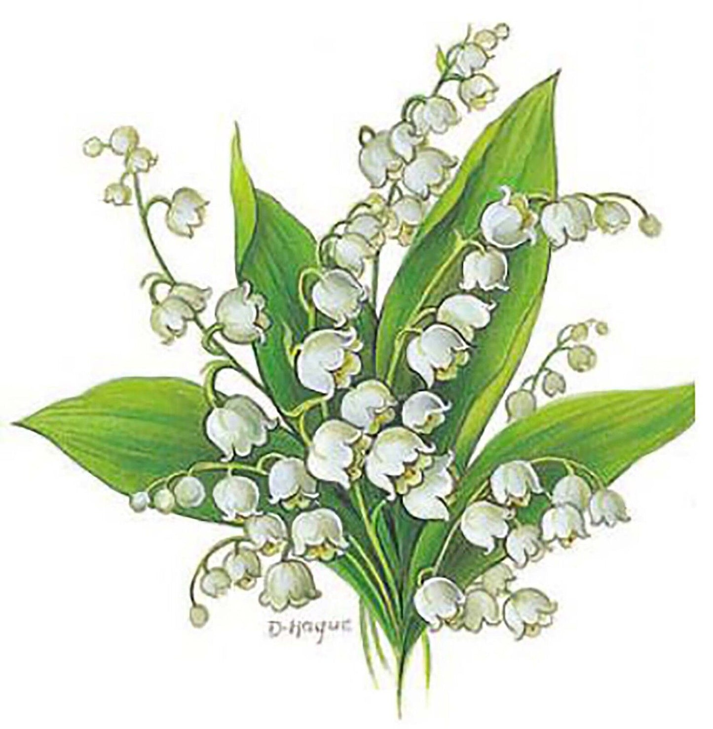Flower of the Month May Lily Valley Overglaze Waterslide Ceramic Decals