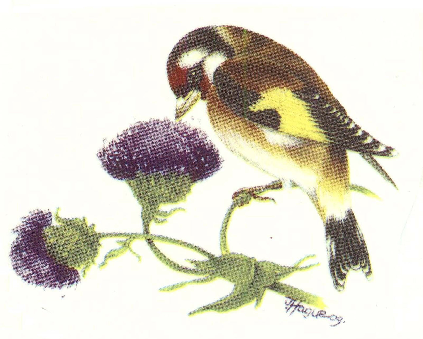 Goldfinch Finch Bird Purple Thistle Select-A-Size Waterslide Ceramic Decals