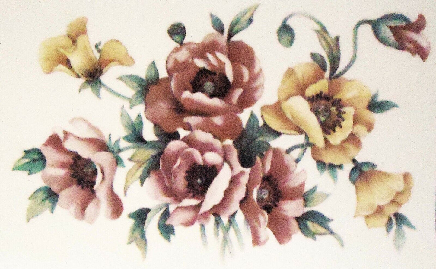 Pink Yellow Poppy Flowers 4 pcs 3.75 X 2.25" Overglaze Waterslide Ceramic Decals