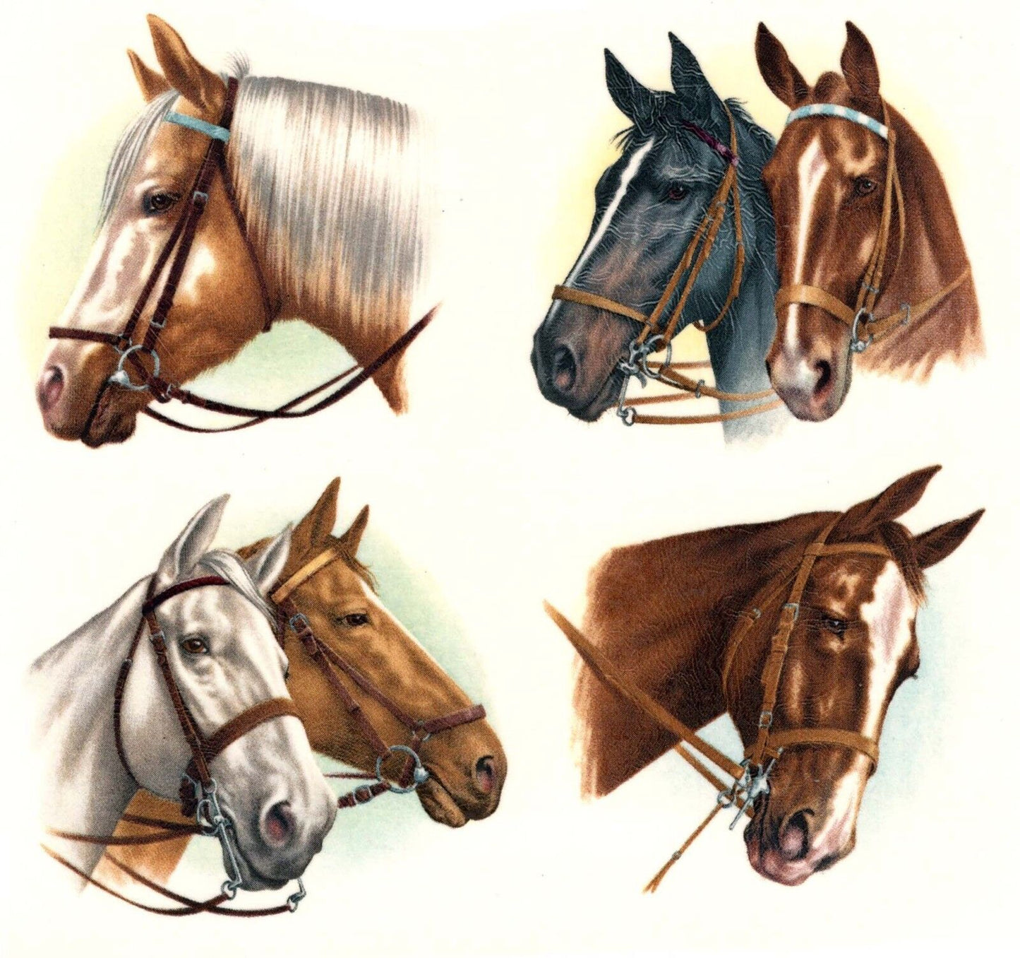 Horse Head Portrait Overglaze Waterslide Ceramic Decals