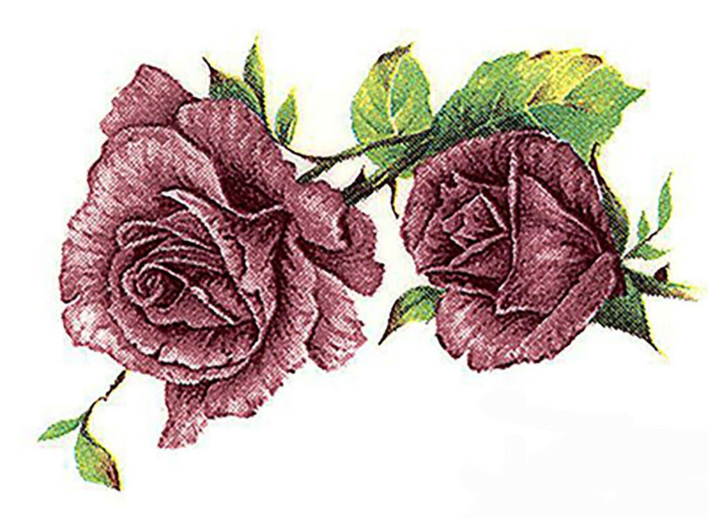 Pink Rose Duo Flowers Select-A-Size Waterslide Ceramic Decals