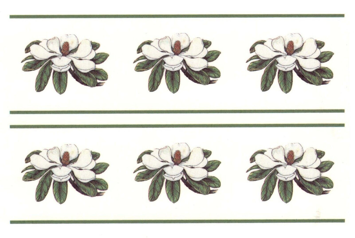 4 White Magnolia Flower Border 6 X 1.75" Overglaze Waterslide Ceramic Decals