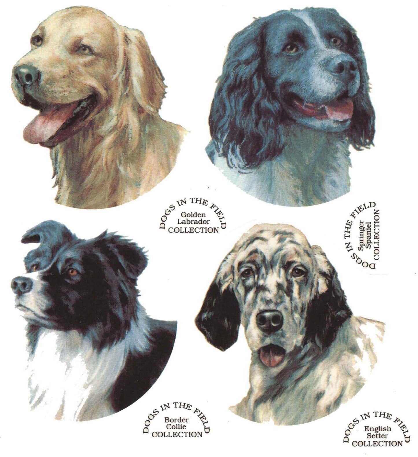 Dogs Setter Spaniel Collie Lab 8 pcs 1-1/2" X 1-1/4" Waterslide Ceramic Decals