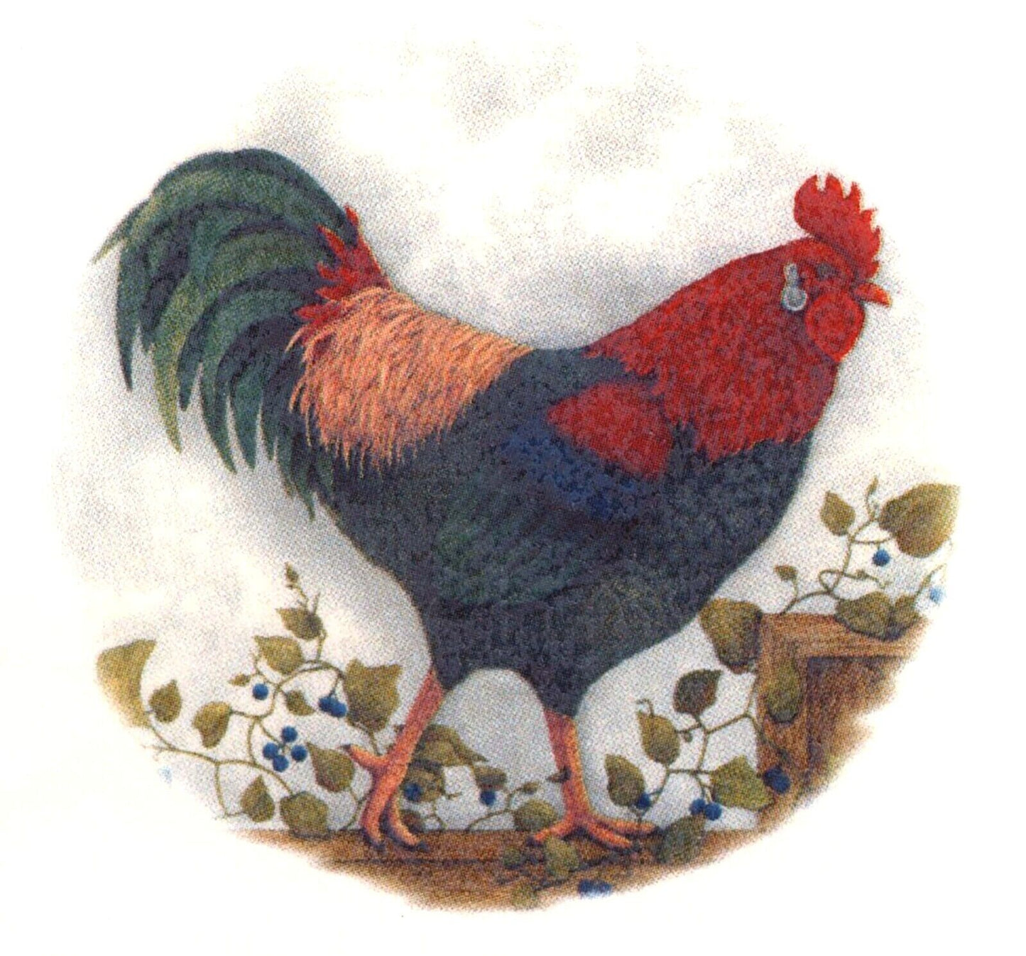 Rooster Trailing Ivy Overglaze Waterslide Ceramic Decal