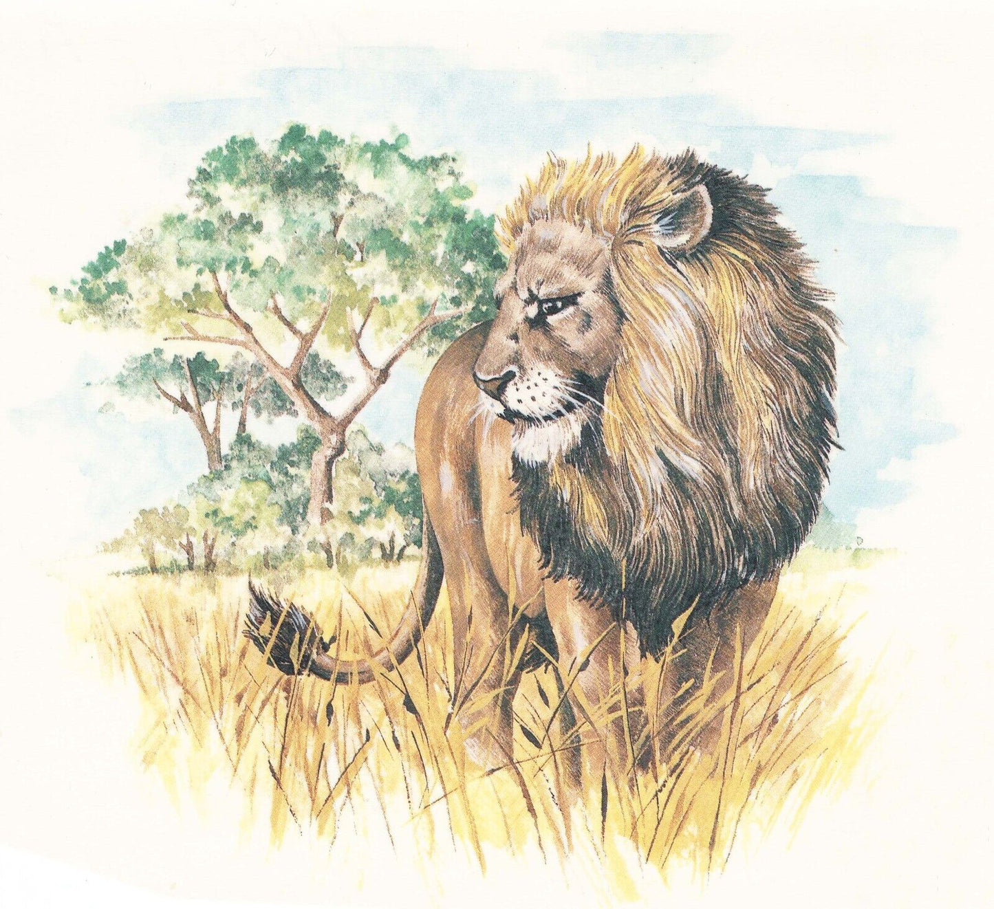 Lion African Landscape 1 pc 6-1/2" X 6" Waterslide Ceramic Decal