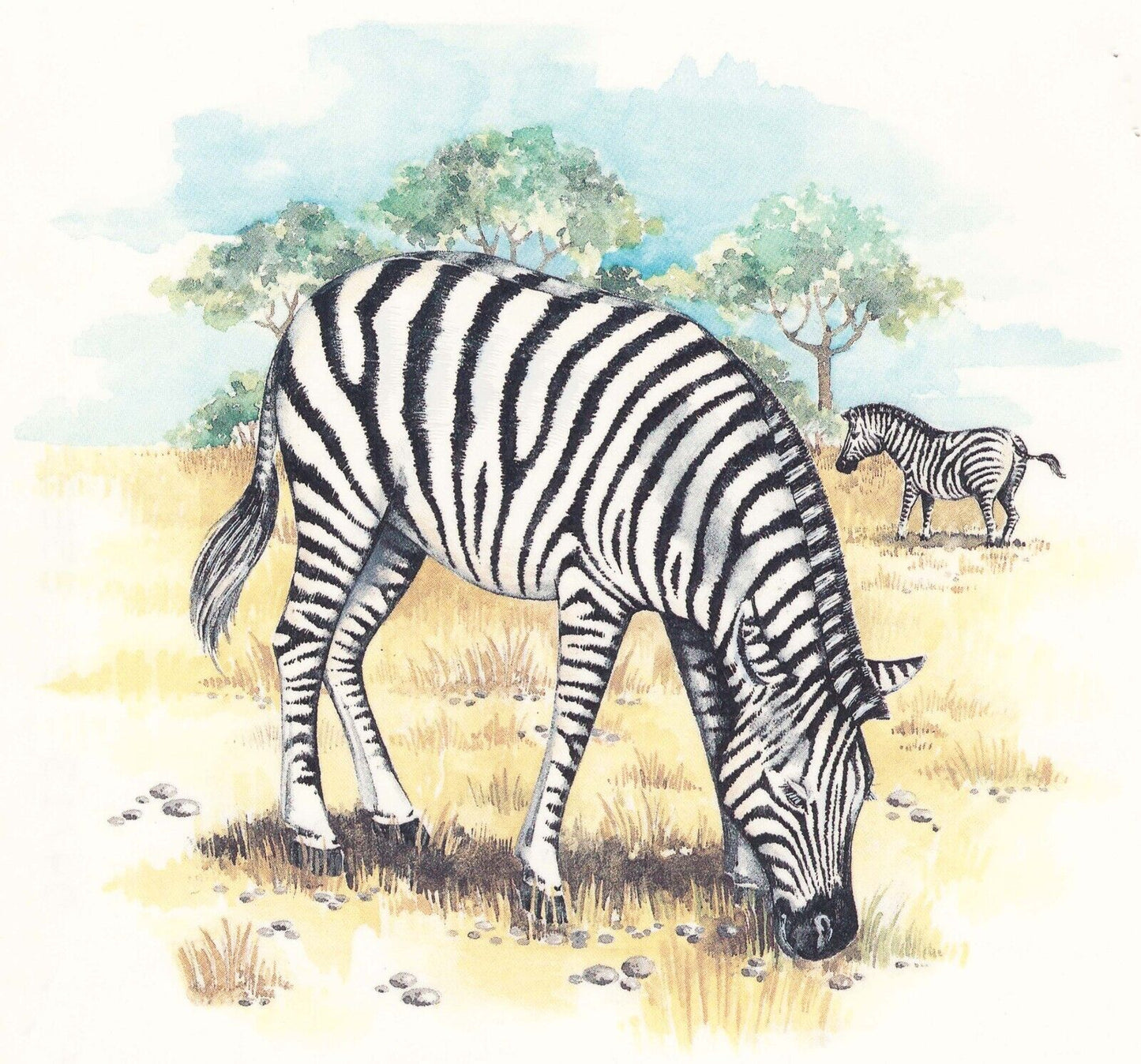 Zebra African Landscape Overglaze Waterslide Ceramic Decals