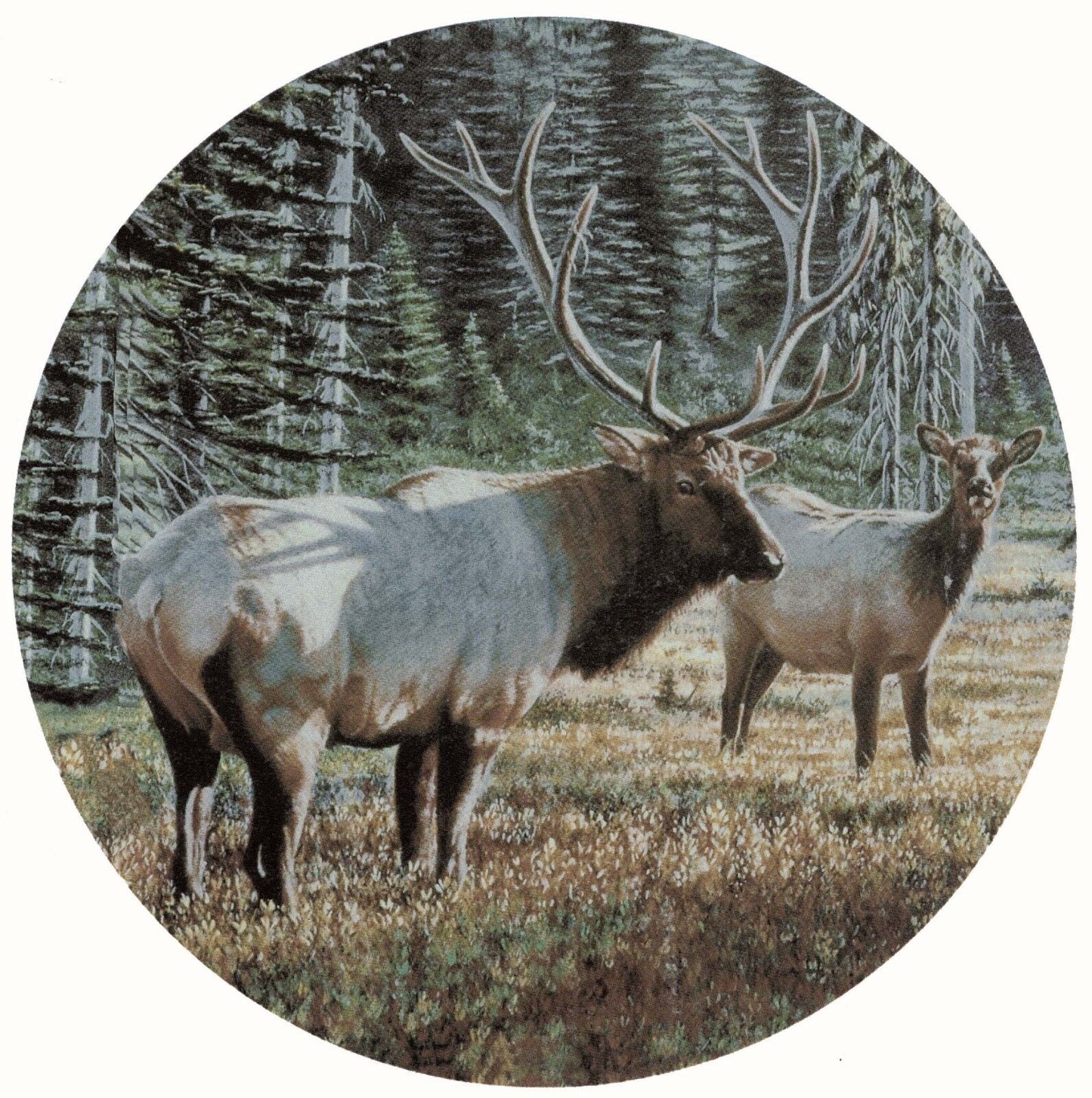 Elk Pine Forest Overglaze Waterslide Ceramic Decals