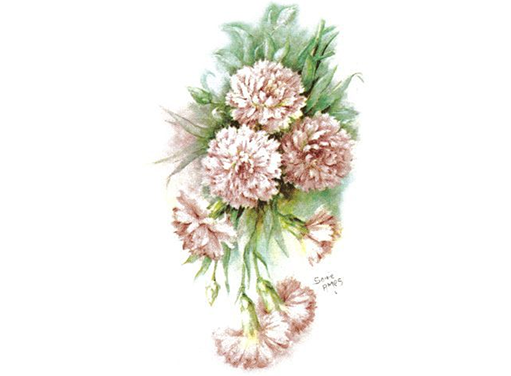 Flowers Carnations Ceramic Decals Ceramic Decals 1041