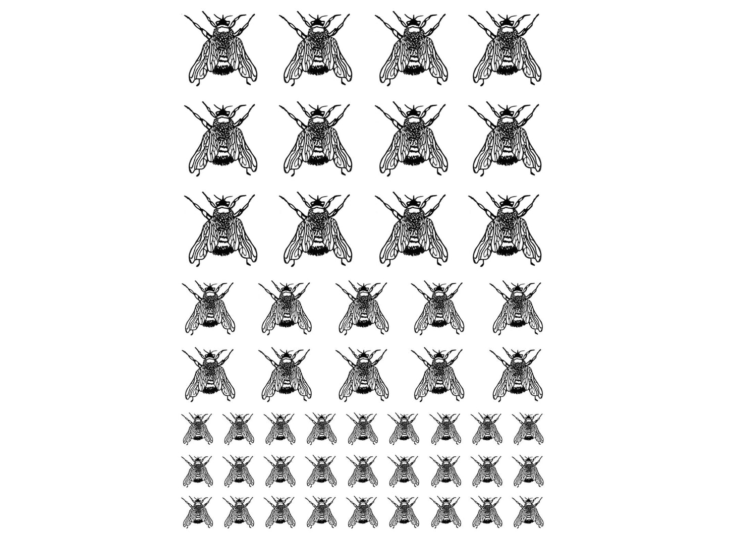 Bees Closed Wings 49 pcs Black Fused Glass Decals