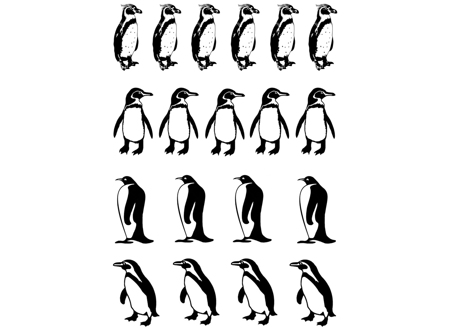 Penguin 19 pcs 1 Inch Black Fused Glass Decals