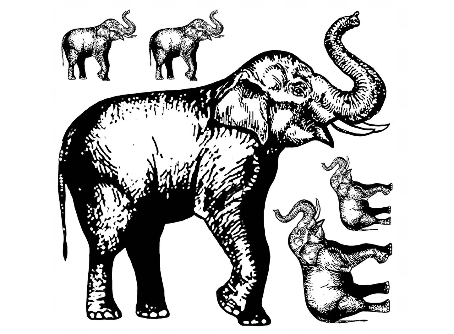 Elephant 10 pcs 0.75 to 3.5 Inch Black Fused Glass Decals