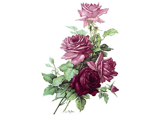 Flowers Pink Burgundy San Do Rose Spray Ceramic Decals 194
