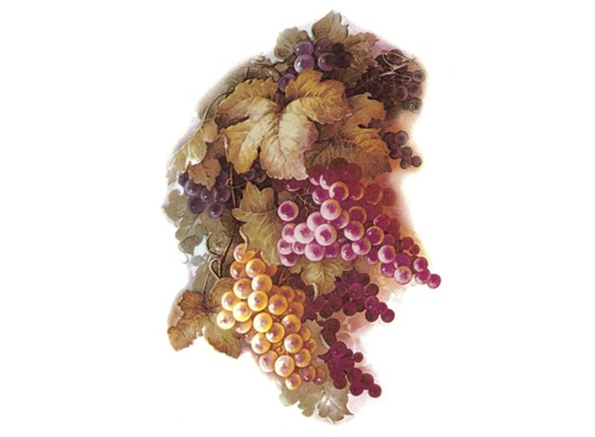 San Do Vineyard Grapes Ceramic Decals 198