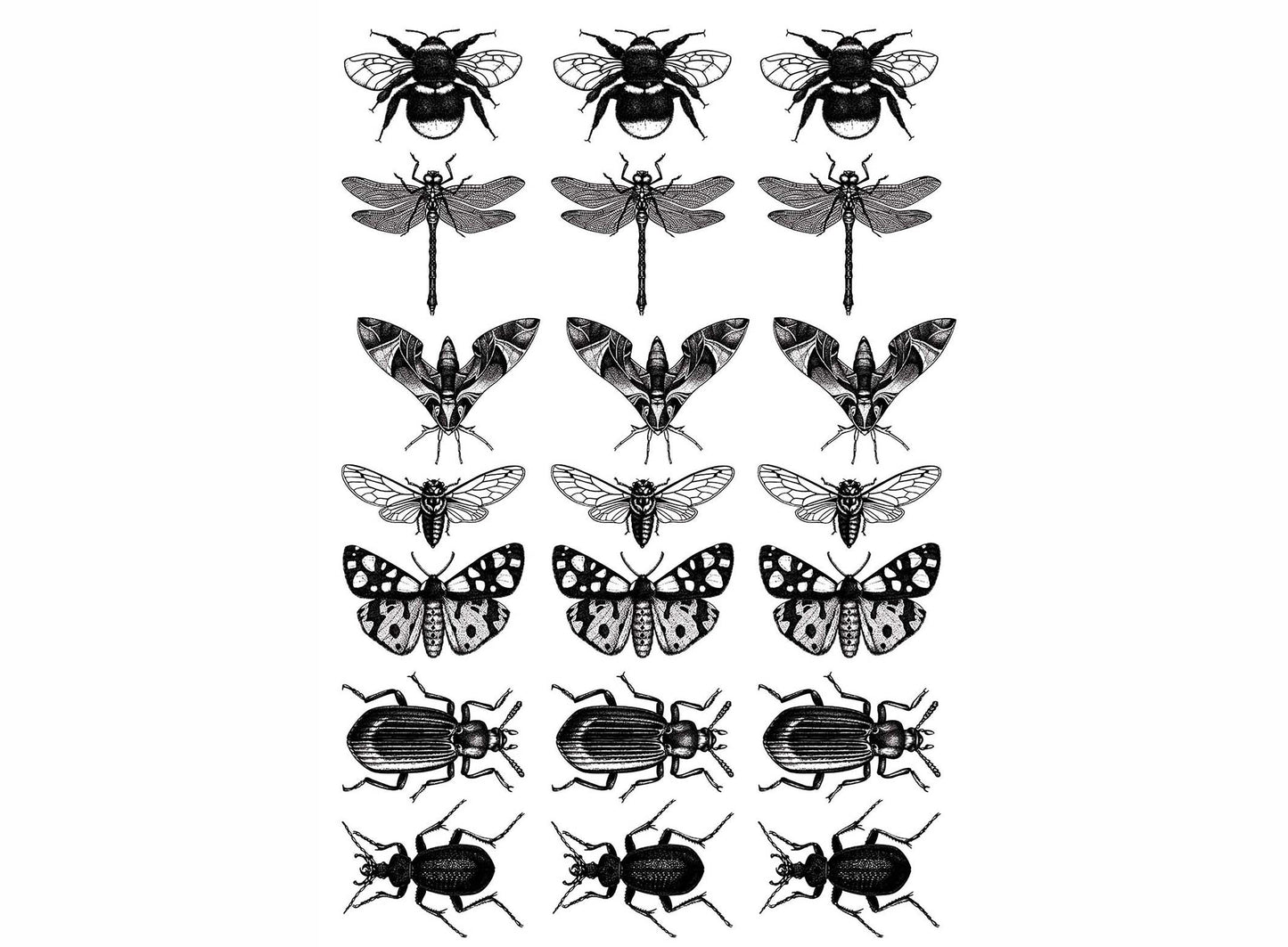 Insect Mania 21 pcs 1 Inch Black Fused Glass Decals