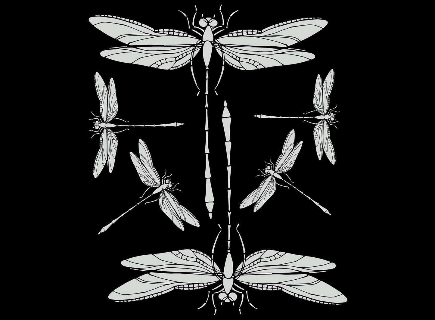 Dragonfly 6 pcs White Fused Glass Decals