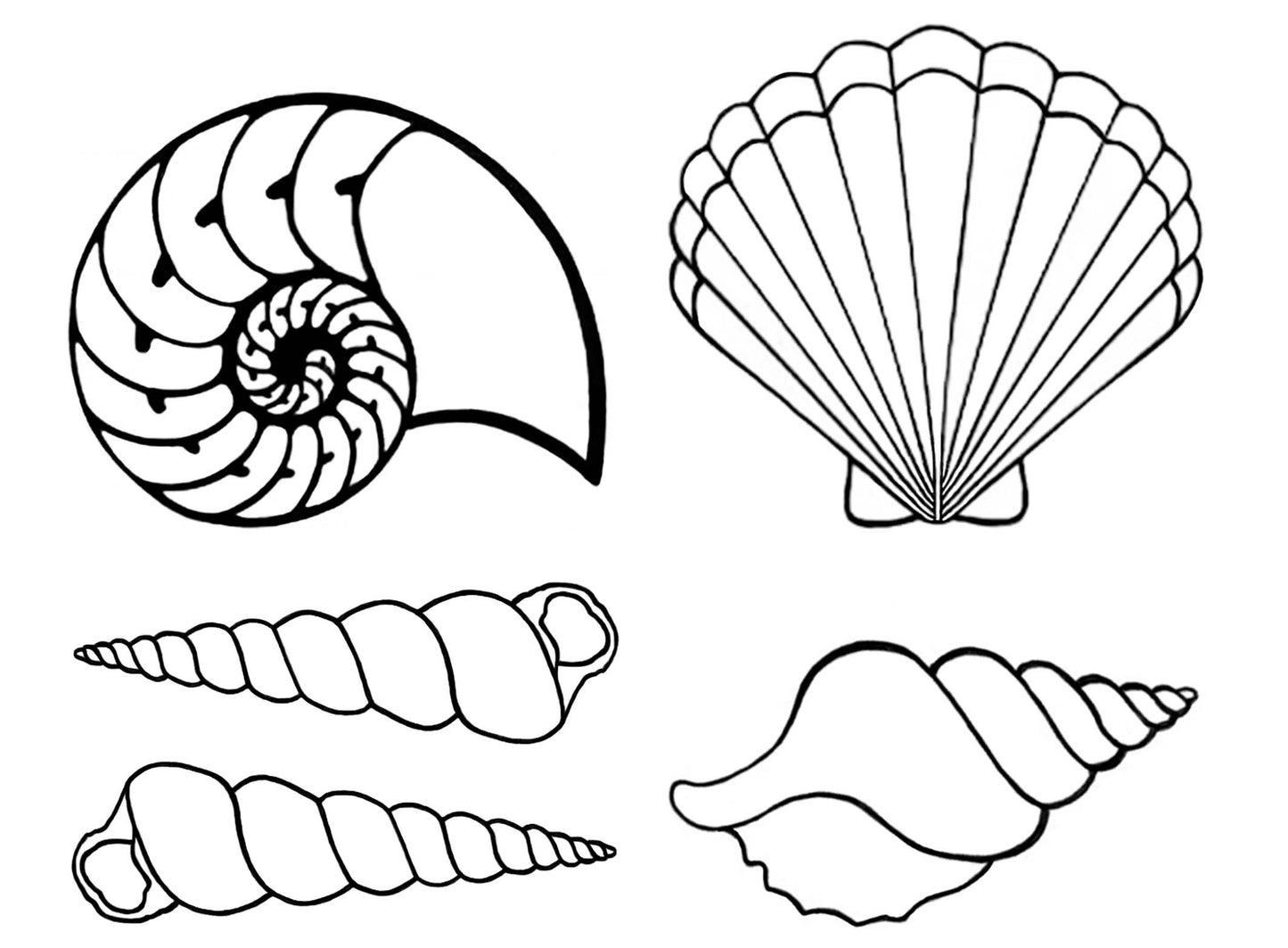 Seashells Shells 25 pcs 1 Inch Black Fused Glass Decals