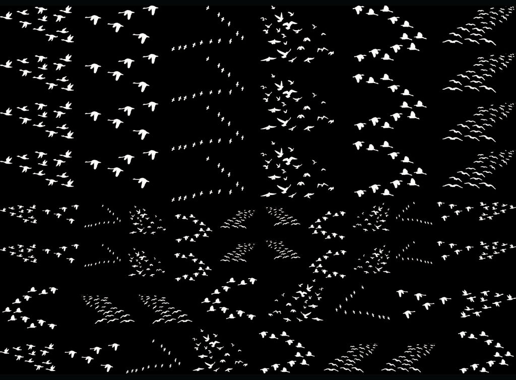 Bird Flocks 61 pcs 1/2" to 1" White Fused Glass Decals