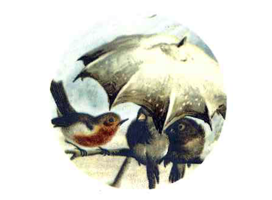 Rainy Day Bird Friends Umbrella Ceramic Decals 3011