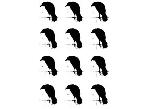 Crow on Wall 12 pcs 1 Inch Black Fused Glass Decals