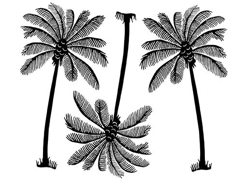 Palm Tree Trio 3 pcs 4 Inch Black Fused Glass Decals