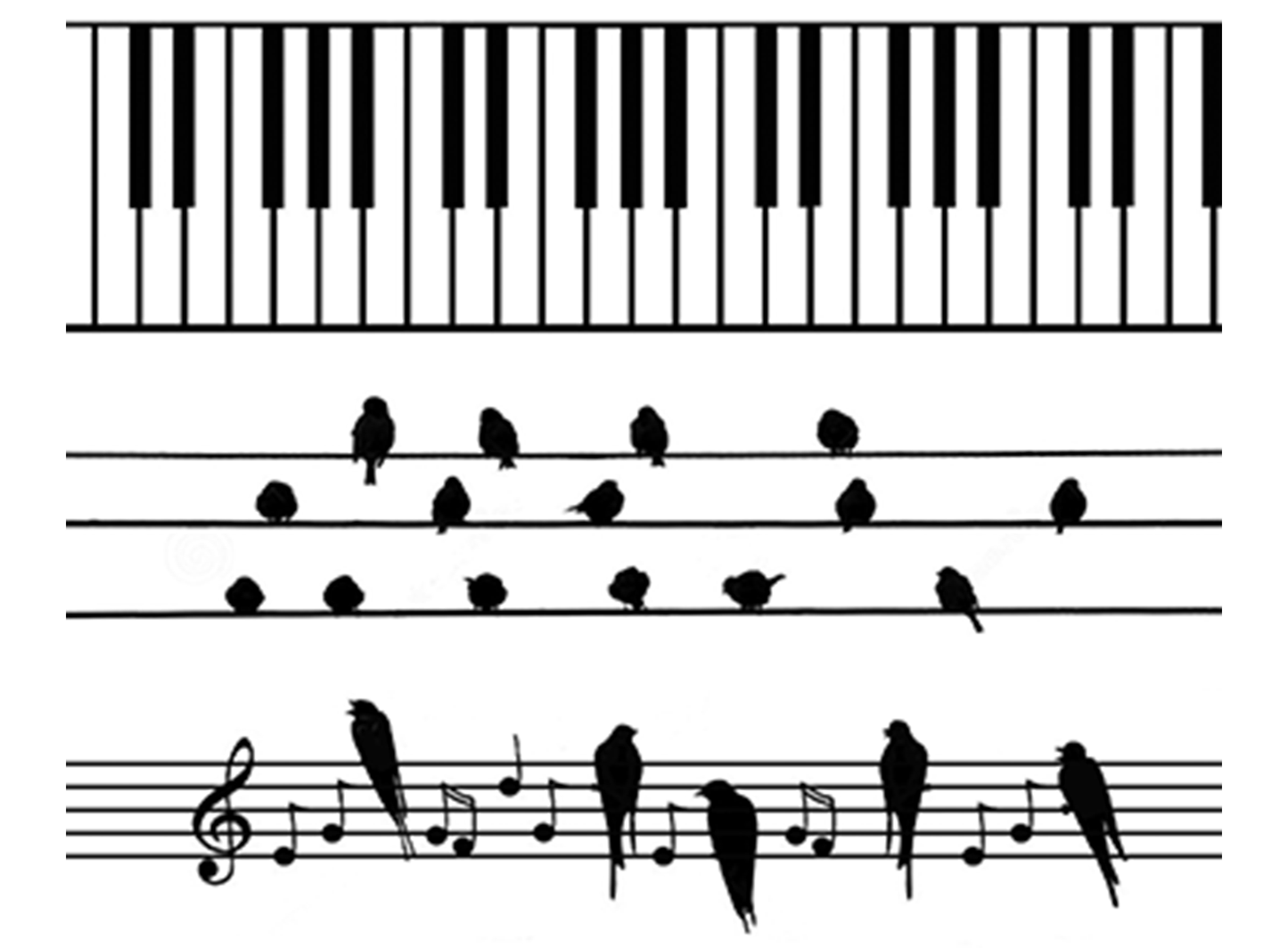 Barrette Birds Piano Keys 6 pcs 4 Inch Black Fused Glass Decals