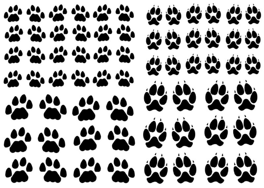 Paw Prints 66 pcs 0.5 to 0.75 Inch Black Fused Glass Decals