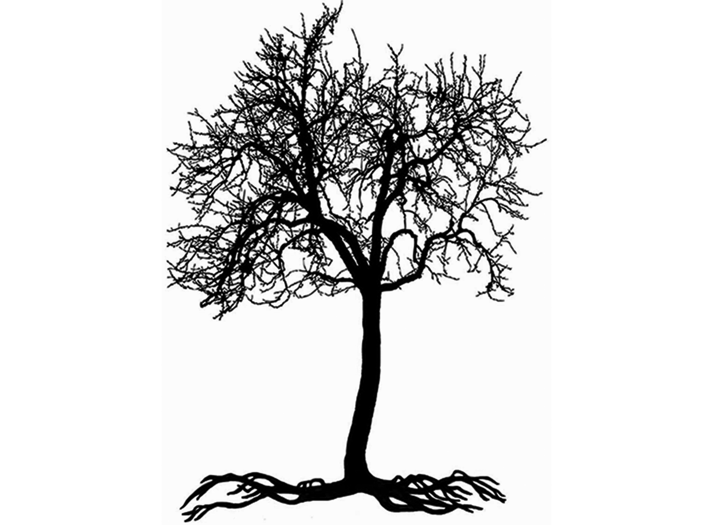 Tree Roots 2 pcs 3.75 Inch Black Fused Glass Decals