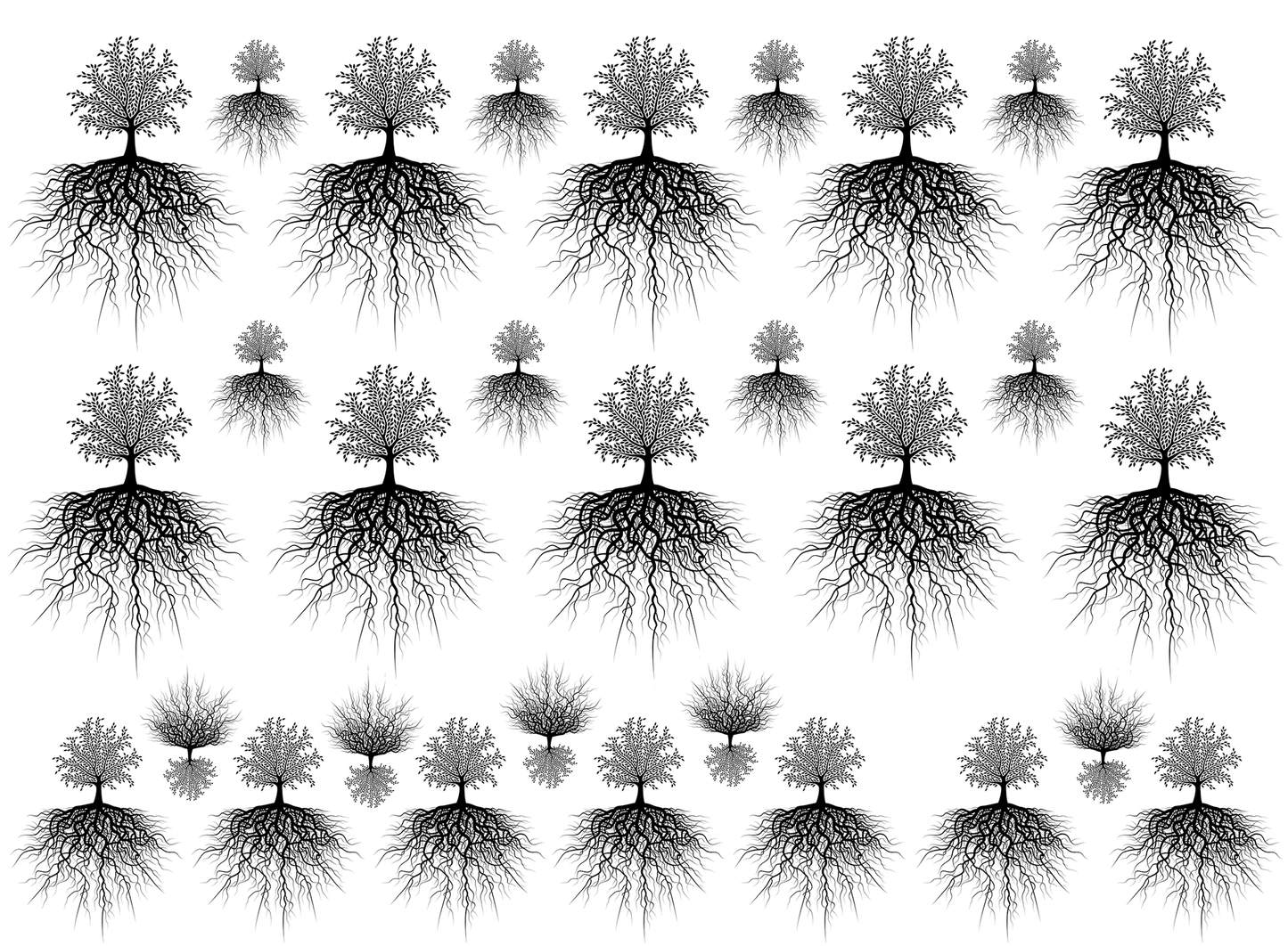 Rooted Tree of Life 30 pcs 0.75 to 1.75 Black Fused Glass Decals